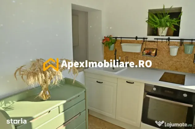 Apartament 2 camere de inchiriat Mosilor București | ApexIm