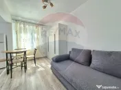 Garsoniera de inchiriat in zona centrala, etaj 2. Renovat... 