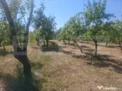 Teren cu priveliste panoramica deosebita 