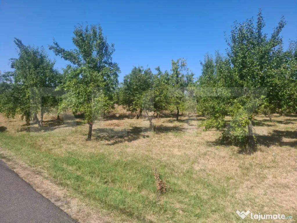 Teren cu priveliste panoramica deosebita