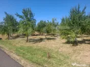 Teren cu priveliste panoramica deosebita 