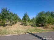 Teren cu priveliste panoramica deosebita 