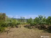 Teren cu priveliste panoramica deosebita 