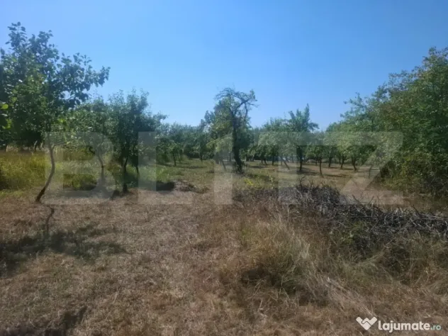 Teren cu priveliste panoramica deosebita