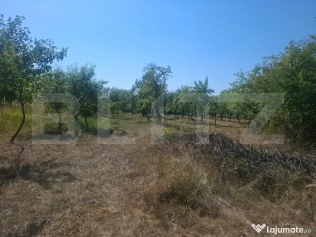 Teren cu priveliste panoramica deosebita