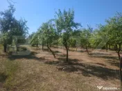 Teren cu priveliste panoramica deosebita 