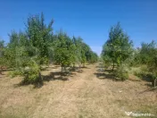 Teren cu priveliste panoramica deosebita 