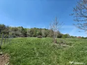 Teren intravilan cu priveliște panoramică în Curteni! 