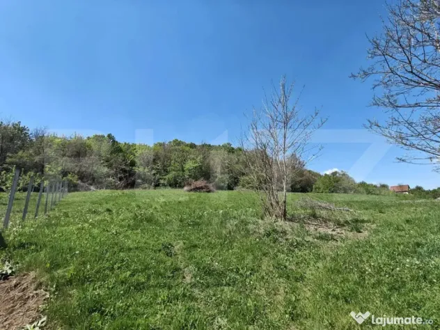 Teren intravilan cu priveliște panoramică în Curteni!