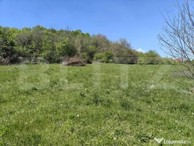 Teren intravilan cu priveliște panoramică în Curteni!