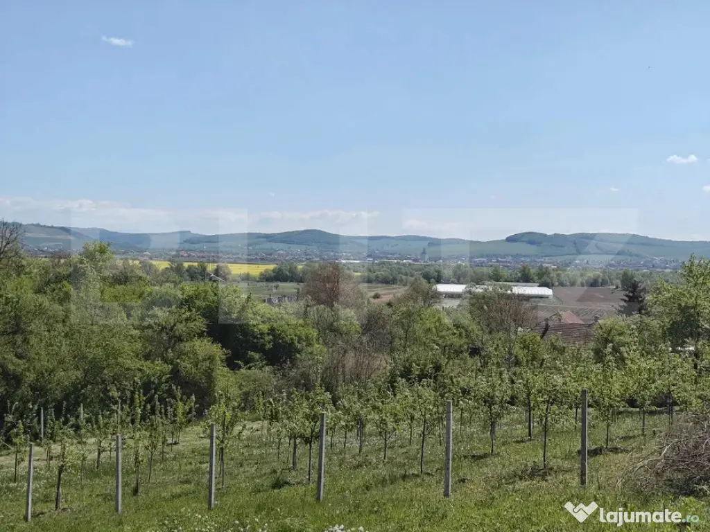 Teren intravilan cu priveliște panoramică în Curteni!