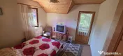 Vila cu 4 camere de vanzare in Busteni 