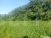 Braesti,jjud Botosani 3700 mp teren intravilan 