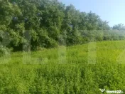 Braesti,jjud Botosani 3700 mp teren intravilan 