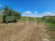Teren extravilan 2.901 mp cu casă și utilități – Unire 