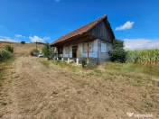 Teren extravilan 2.901 mp cu casă și utilități – Unire 