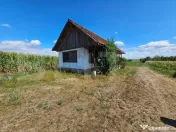 Teren extravilan 2.901 mp cu casă și utilități – Unire 