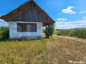 Teren extravilan 2.901 mp cu casă și utilități – Unire 