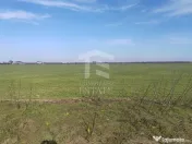 Cernica Tanganu Parcele 1023 mp la 17.000 euro