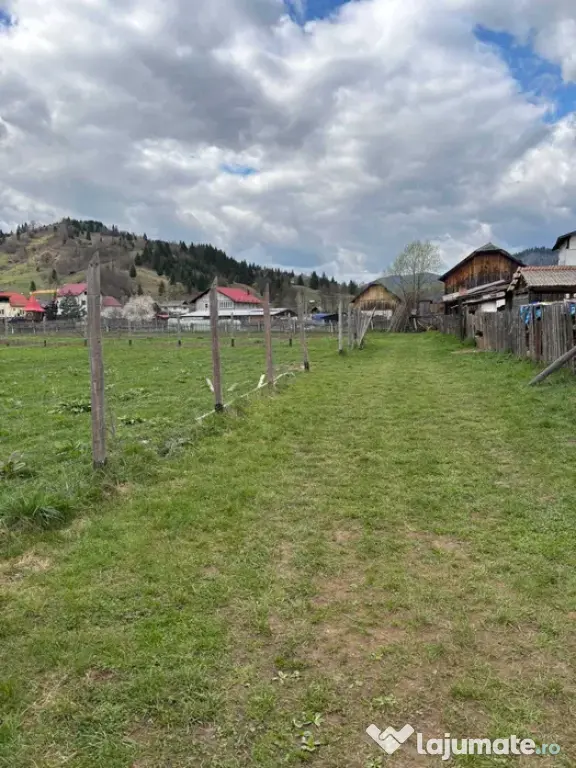 Teren Intravilan 3037 mp