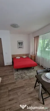 Tineretului sincai parter timpuri noi 
