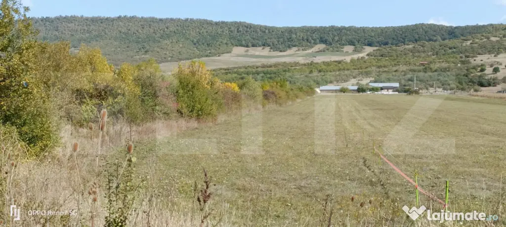 Teren 49 Ari, partial intravilan 13 ari, cu deschidere la DN - Bistrita (Bistrita-Nasaud)