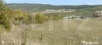 Teren 49 Ari, partial intravilan 13 ari, cu deschidere la DN