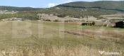 Teren 49 Ari, partial intravilan 13 ari, cu deschidere la DN 
