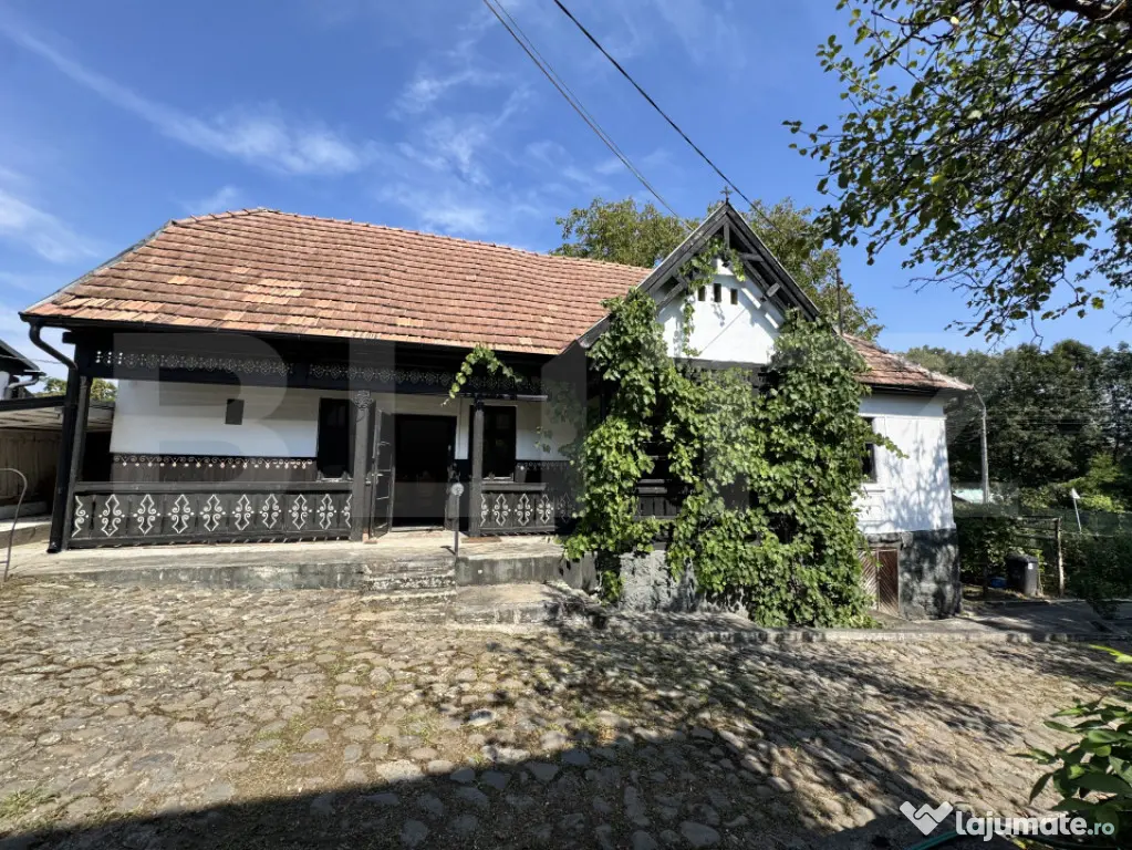 Proprietate superbă in Damieni! cu potential enorm comercia - Damieni (Mures)