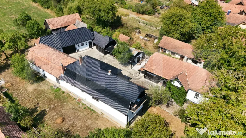 Proprietate superbă in Damieni! cu potential enorm comercia - Damieni (Mures)