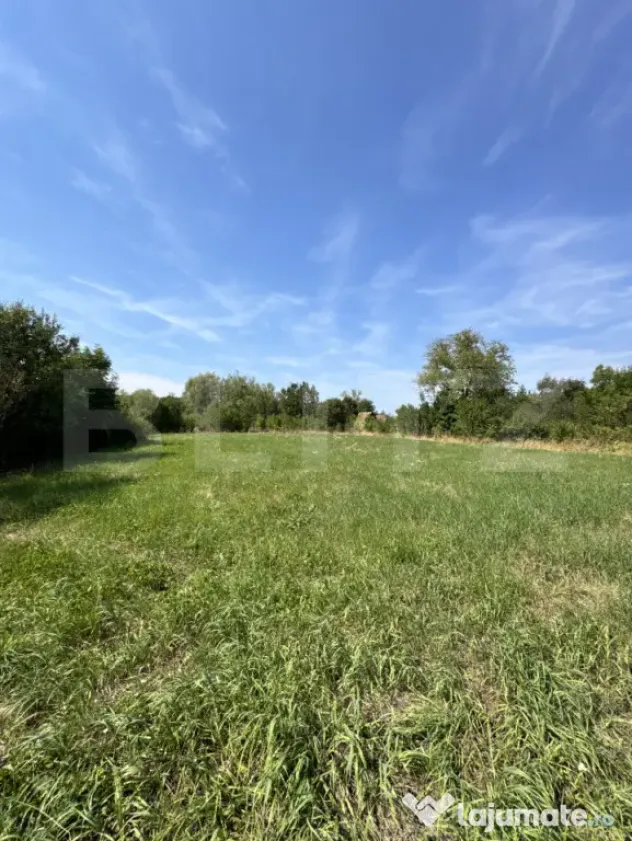 Proprietate superbă in Damieni! cu potential enorm comercia - Damieni (Mures)