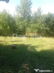 Teren de vânzare – Moisei, Maramureș