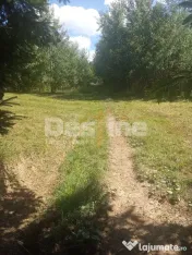Teren de vânzare – Moisei, Maramureș