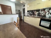 Tei Ion Berindei 3 Camere 8/10 Renovat 