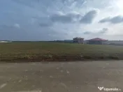 Dragomiresti Valea - Langa Centura, teren 31.200 mp, 28E/mp 