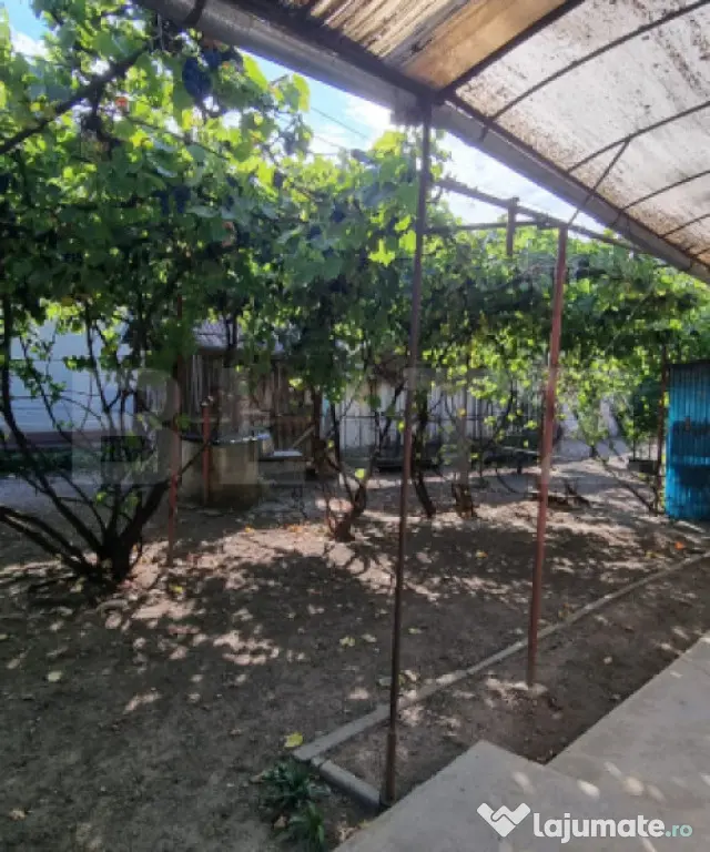 Casa cu 3 camere, anexe, curte și grădină - Boian (Cluj)