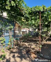 Casa cu 3 camere, anexe, curte și grădină 