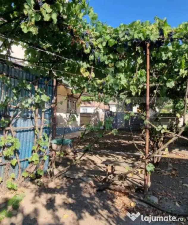 Casa cu 3 camere, anexe, curte și grădină - Boian (Cluj)