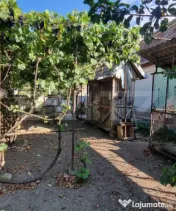Casa cu 3 camere, anexe, curte și grădină 