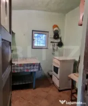 Casa cu 3 camere, anexe, curte și grădină 
