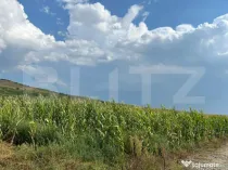 Teren de vânzare – 4 parcele cu PUZ, ideale pentru constr