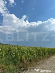 Teren de vânzare – 4 parcele cu PUZ, ideale pentru constr 