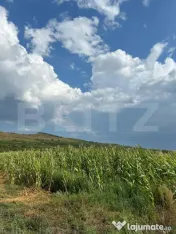 Teren de vânzare – 4 parcele cu PUZ, ideale pentru constr 