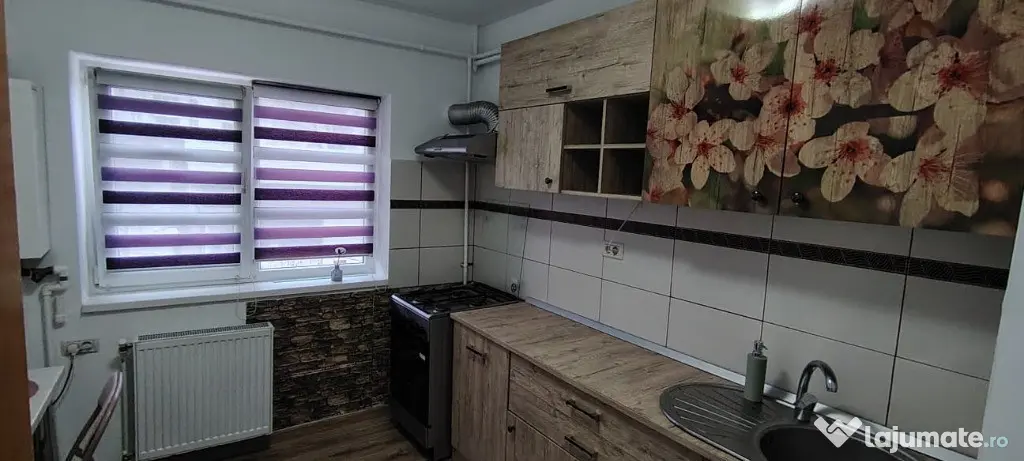 Apartament 3 camere ultracentral -Teatrul Eminescu - Botosani (Botosani)