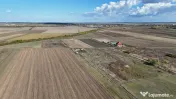 Refugiu la marginea padurii — 2822 mp de liniste in Cocani 