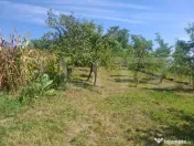 ???? Casă 206 mp la gri + teren 1.832 mp, deschidere 15 ml 