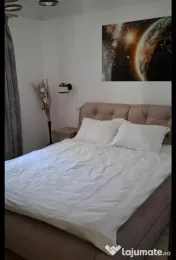 Apartament cu 3 camere Semidecomandate - Parter Zona Marasesti 