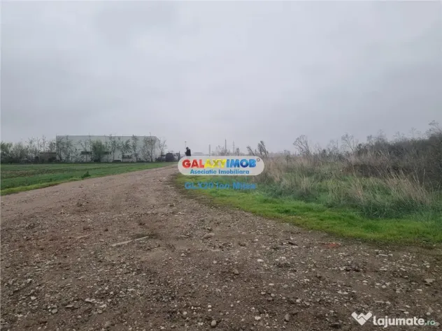 Teren 10000 mp Pantelimon Acumulatorul A 0!! - Pantelimon (Bucuresti-Ilfov)