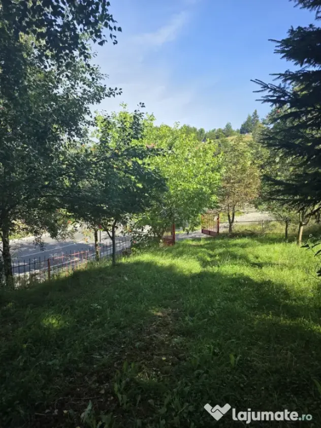 Casă de vacanță în Fundata, Brașov – 3.300 mp teren, acces direct din DN73
