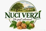 Nuci în coajă din livadă certificată BIO – miez alb-auriu, coajă subțire